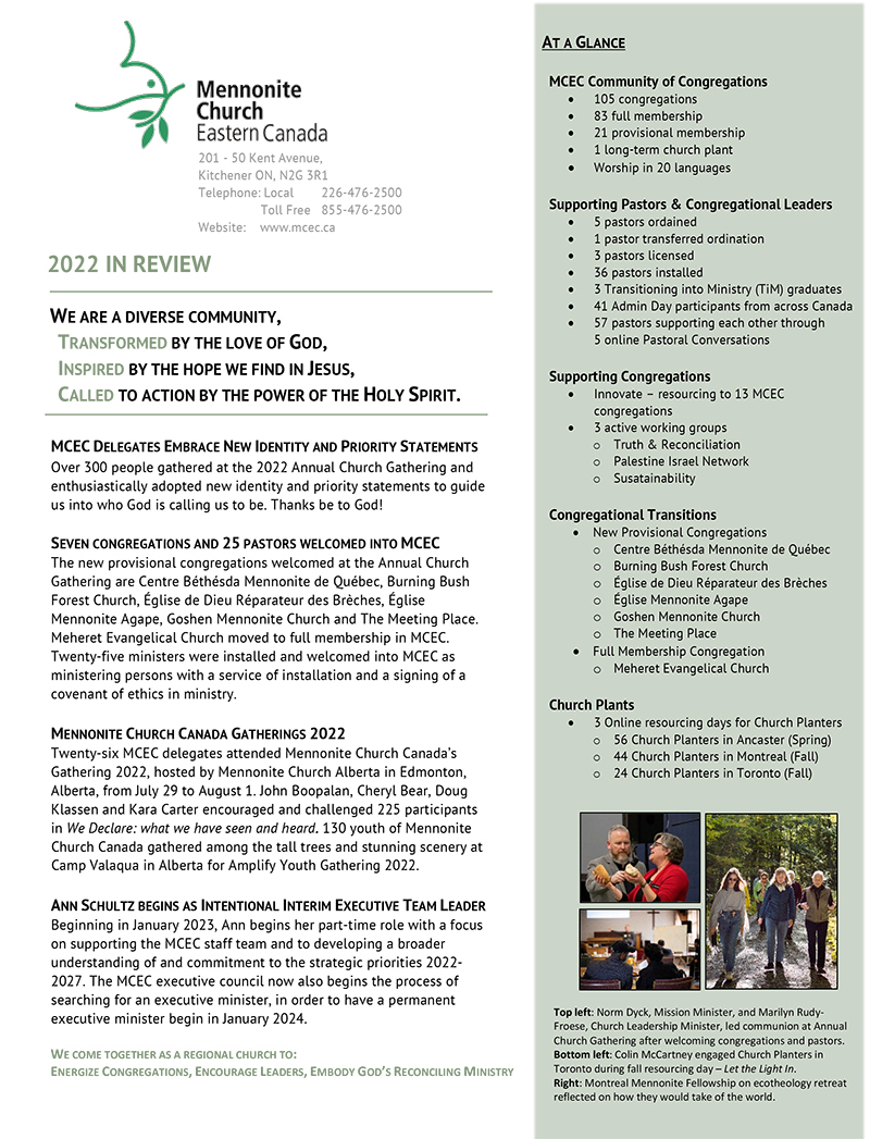 small image of full report