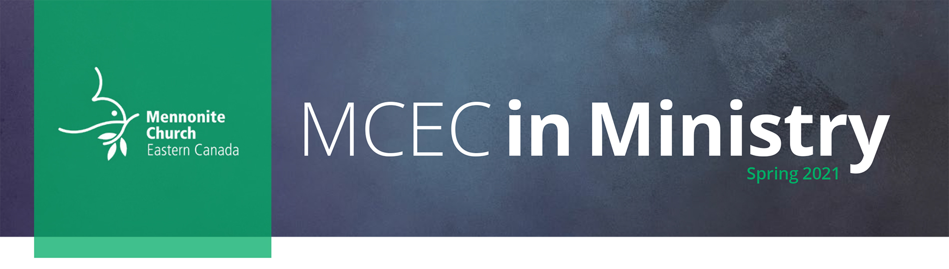 MCEC in Ministry header